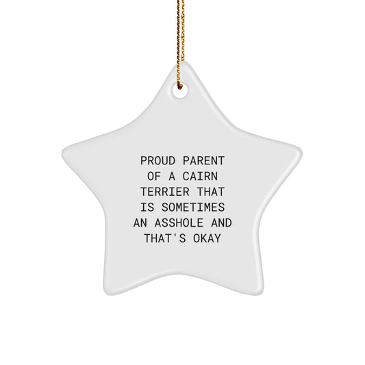 Funny Cairn Terrier Dog Star Ornament Gifts from Family to Friends for Christmas - Image 1