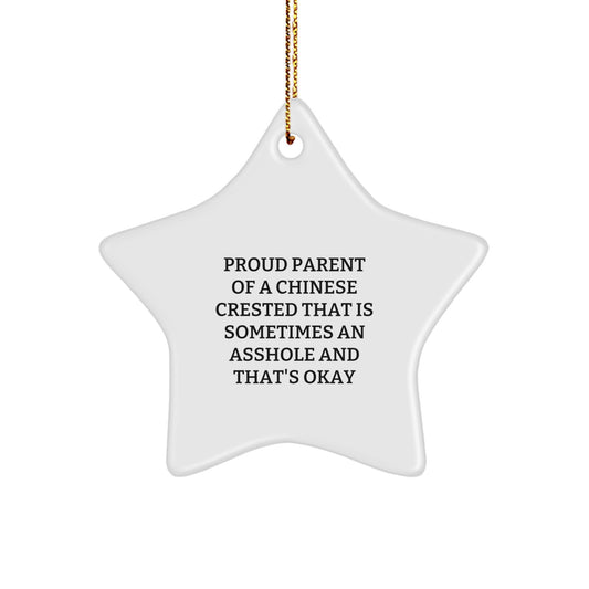 Funny Chinese Crested Dog Lover Gifts from Family for Christmas Unique Star Ornament - Image 1