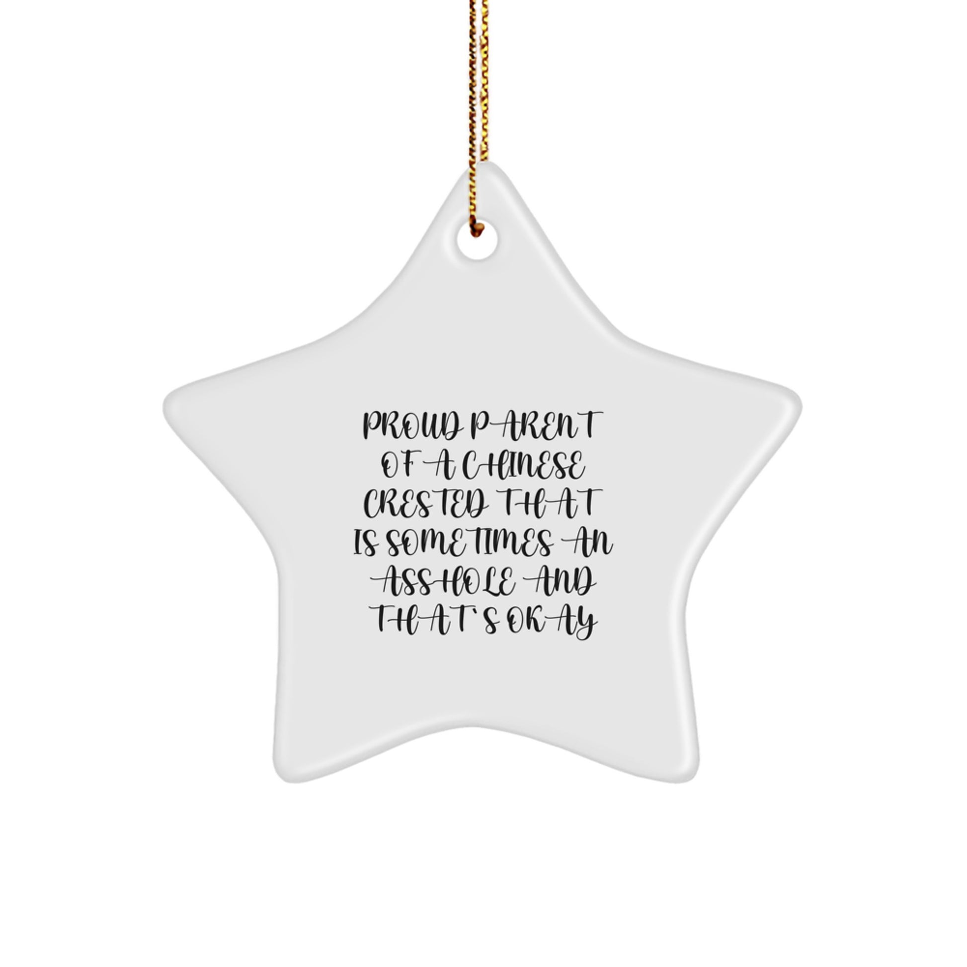 Funny Chinese Crested Dog Gifts from Family - Star Ornament for Christmas Unique Gifts - Image 1