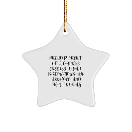 Funny Chinese Crested Dog Gifts from Family - Star Ornament for Christmas Unique Gifts - Image 1