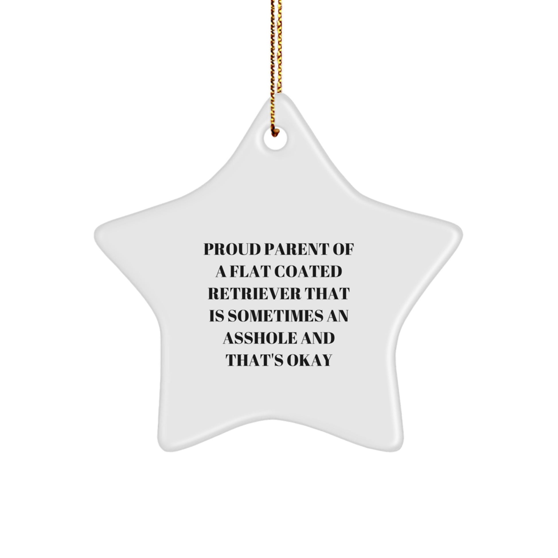 Funny Flat Coated Retriever Dog Parent Gifts for Christmas Unique Star Ornaments from Friends - Image 1