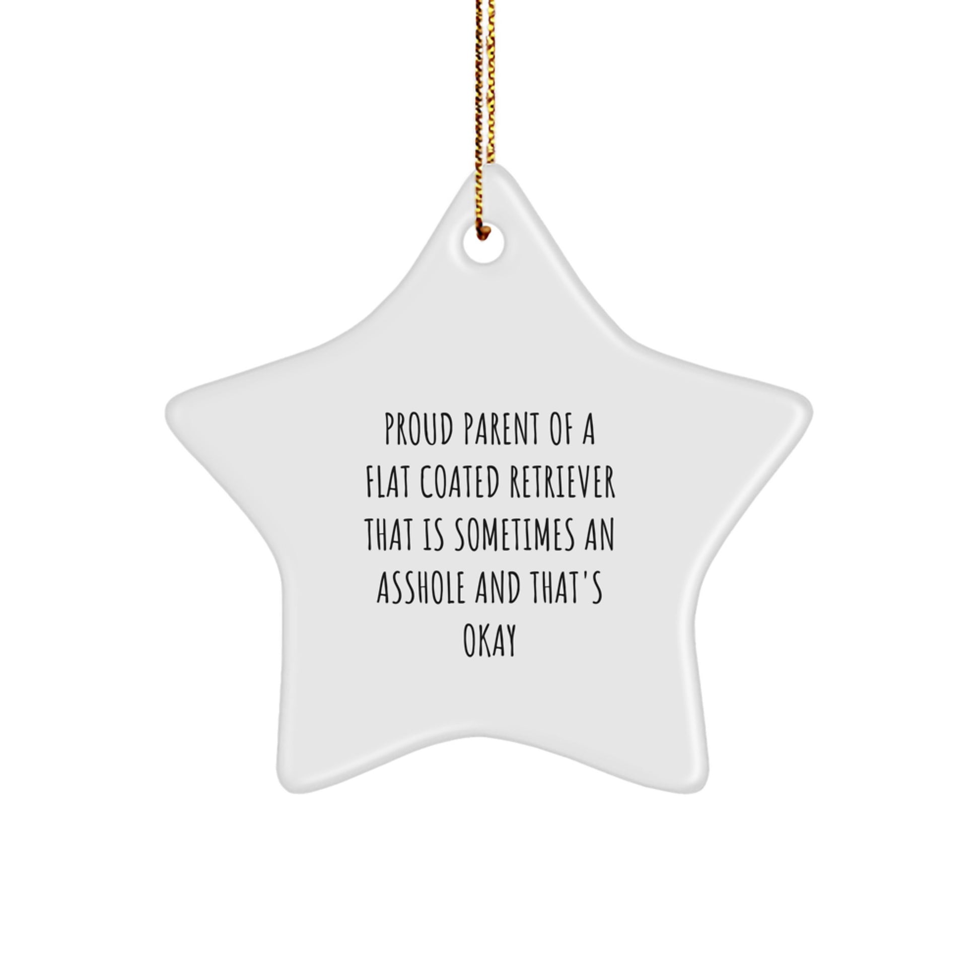 Funny Flat Coated Retriever Dog Gifts for Men - Proud Parent Star Ornament, Unique Christmas Decorations from Parents - Image 1