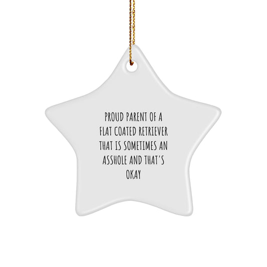 Funny Flat Coated Retriever Dog Gifts for Men - Proud Parent Star Ornament, Unique Christmas Decorations from Parents - Image 1
