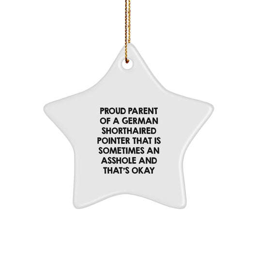 Funny German Shorthaired Pointer Dog Gifts Christmas Star Ornament for Proud Owners - Gifts from Family to Family, Gifts for German Shorthaired Pointer Dog Lovers - Image 1