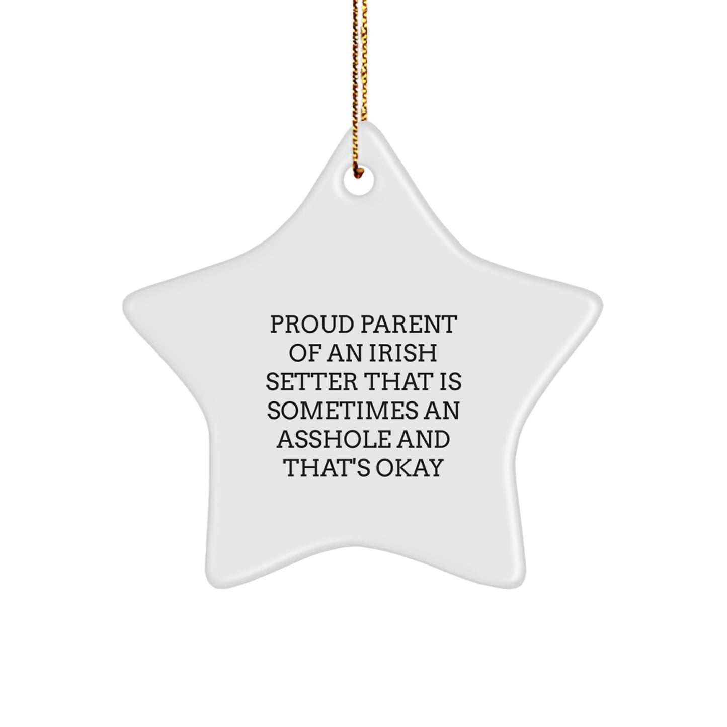Irish Setter Star Ornament for Teens Memento Proud Parent Christmas Gift - Image 1