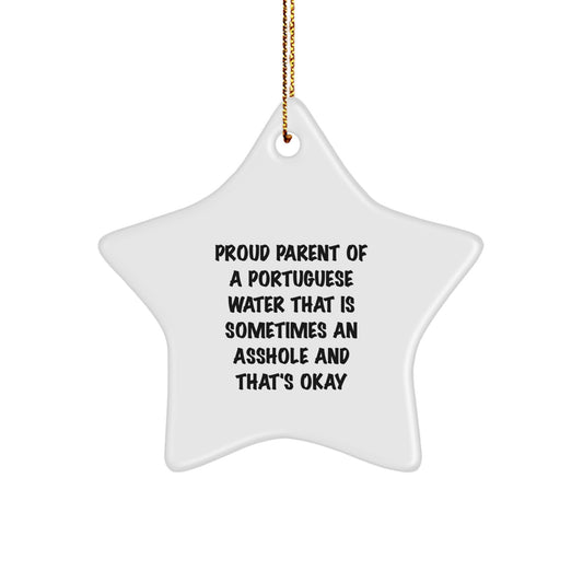 Funny Portuguese Water Dog Gifts from Men or Women - Christmas Unique Star Ornament for Portuguese Water Dog Owners Who Love Humor, Proud Parent Quote Star Shaped Decoration - Image 1