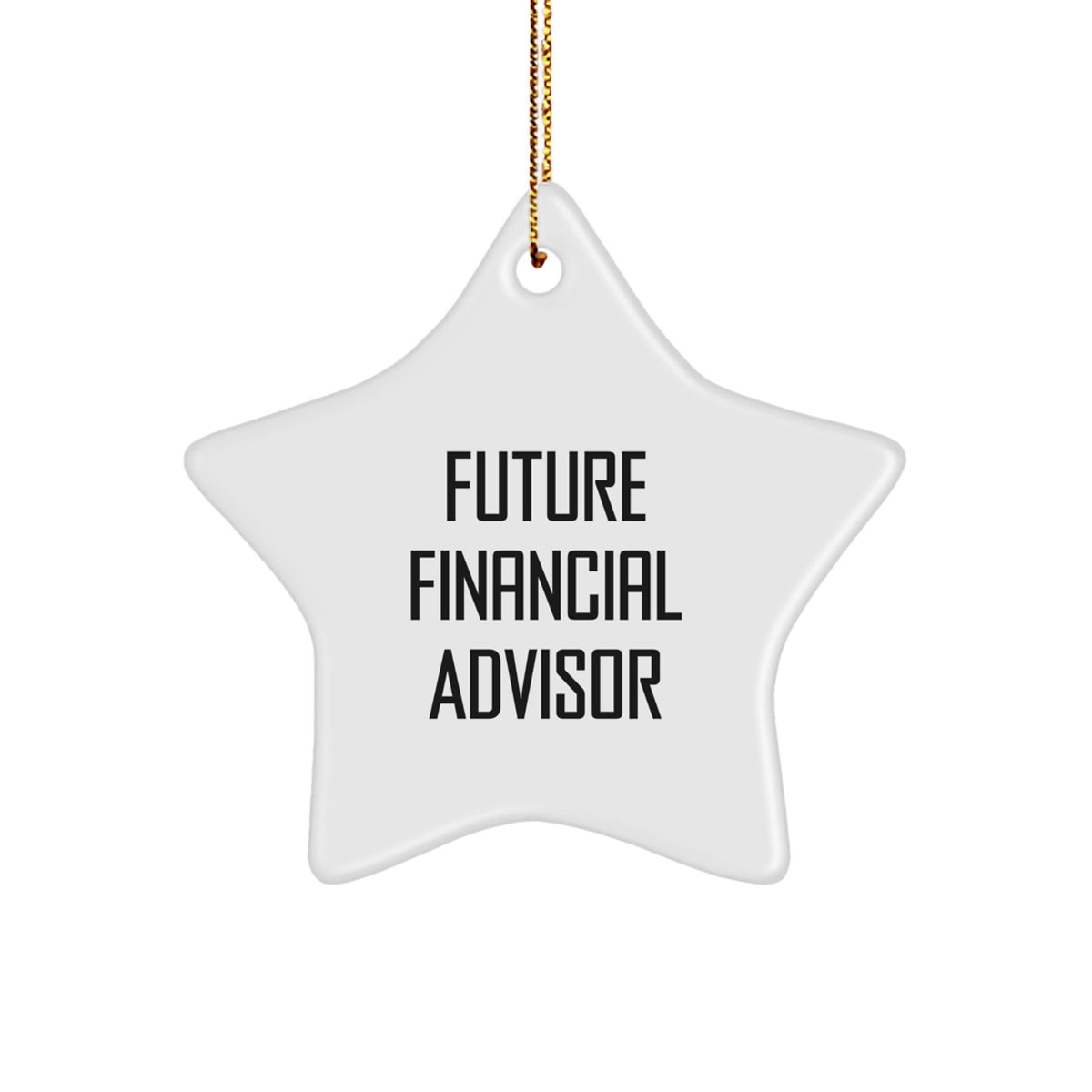 Funny Future Financial Advisor Gifts, Star Ornament for Financial Advisor Men, Christmas Unique Gifts from Friends to Financial Advisor, Financial Advisor Star Ornament with Inspirational Quote - Image 1