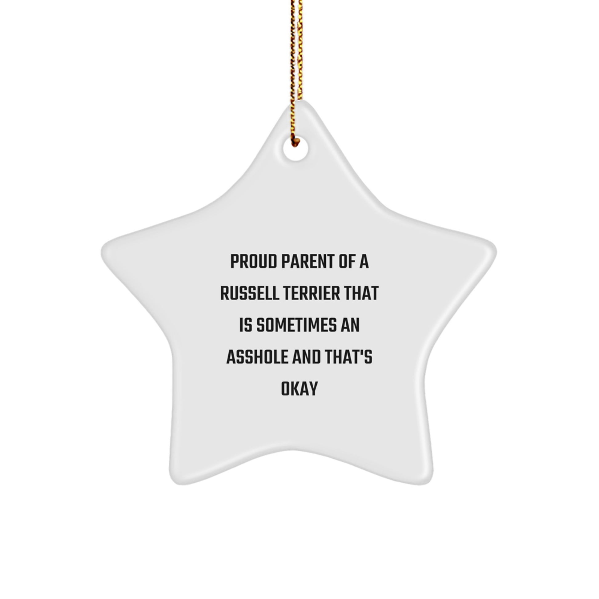Funny Russell Terrier Dog Star Ornament Gifts from Mom Dad Friends Family for Christmas Unique Decorations - Image 1