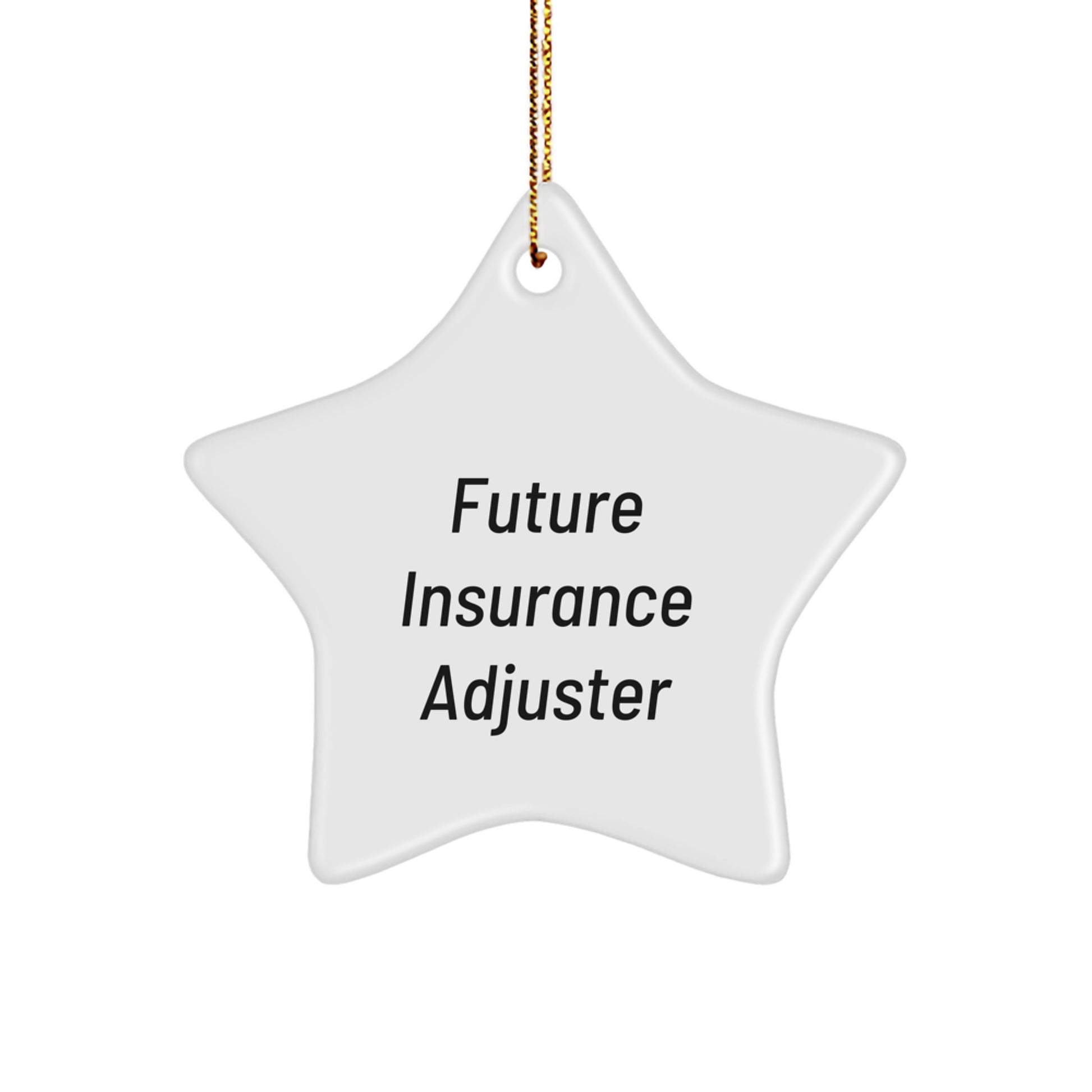 Funny 'Future Insurance Adjuster' Gifts for Men, Unique Star Ornament for Holiday Season, Christmas Decorations for Insurance Adjuster Friends, Coworkers, Family - Image 1