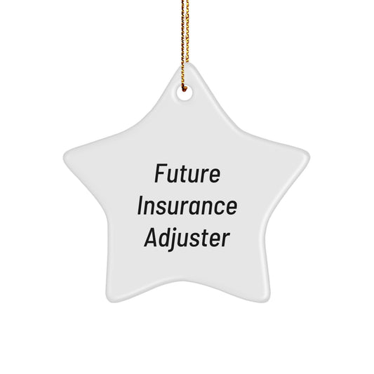 Funny 'Future Insurance Adjuster' Gifts for Men, Unique Star Ornament for Holiday Season, Christmas Decorations for Insurance Adjuster Friends, Coworkers, Family - Image 1