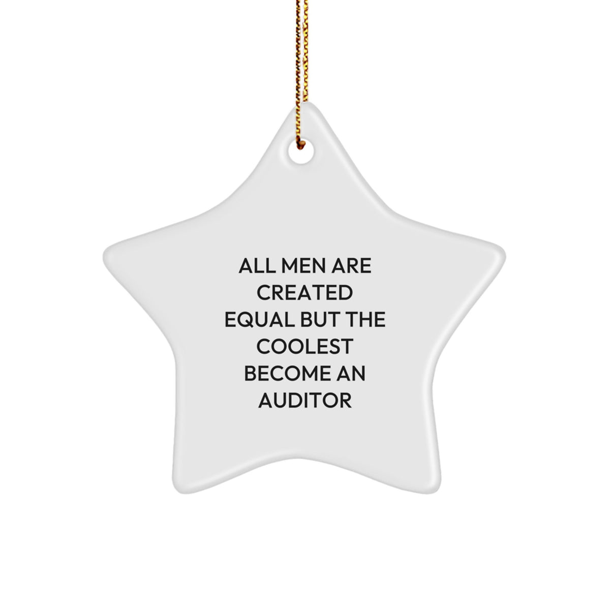 Christmas Gift for Her Auditor Star Ornament Present - Image 1