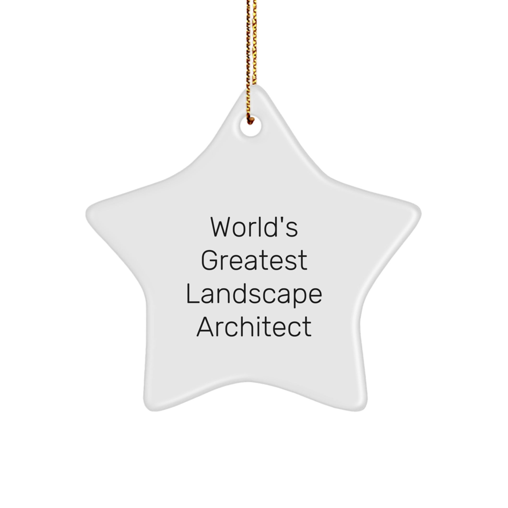 Funny World's Greatest Landscape Architect Star Ornament Gifts from Friends for Landscape Architects at Christmas - Image 1