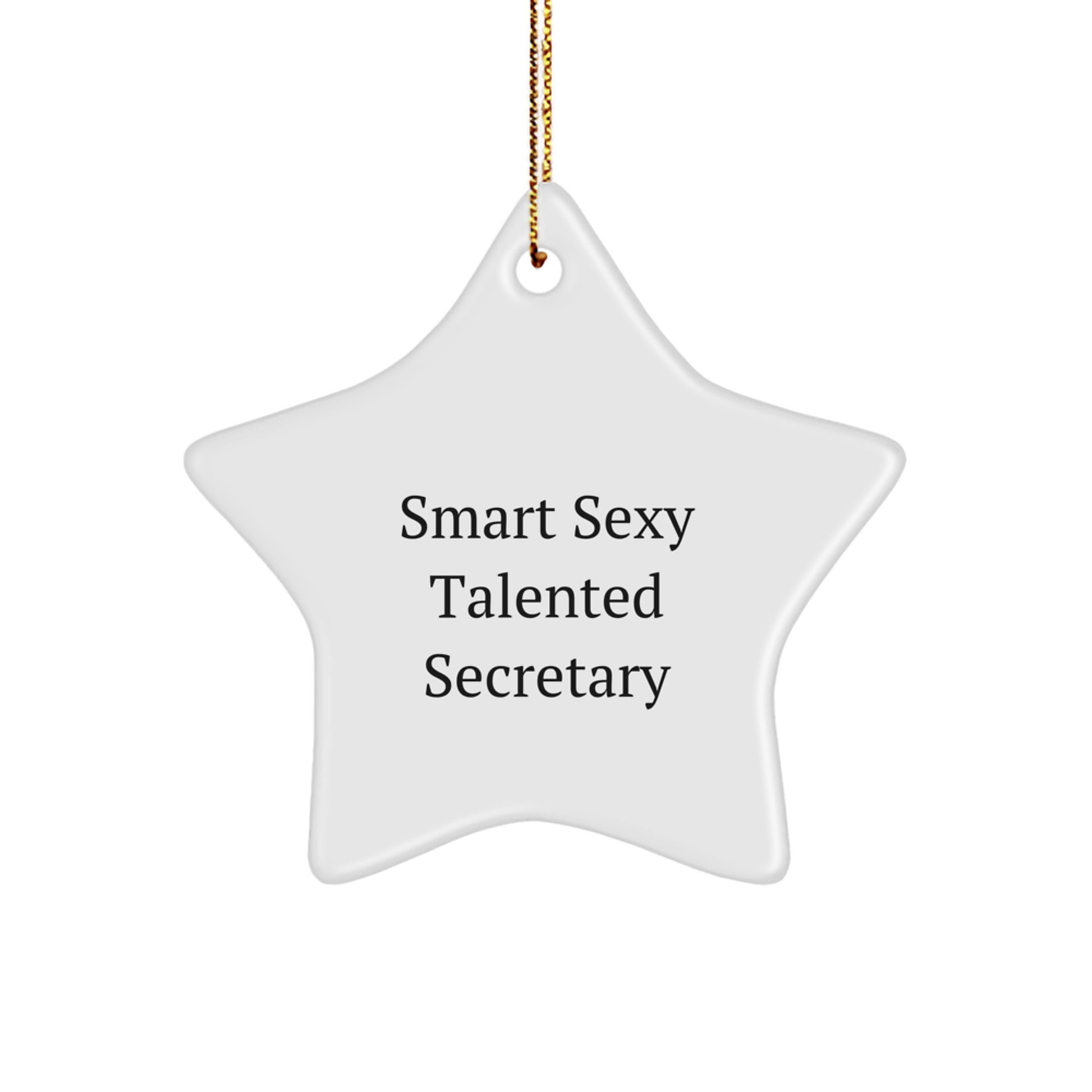 Smart Sexy Talented Secretary Star Ornament - Funny Christmas Unique Gifts from Men to Secretary - Image 1